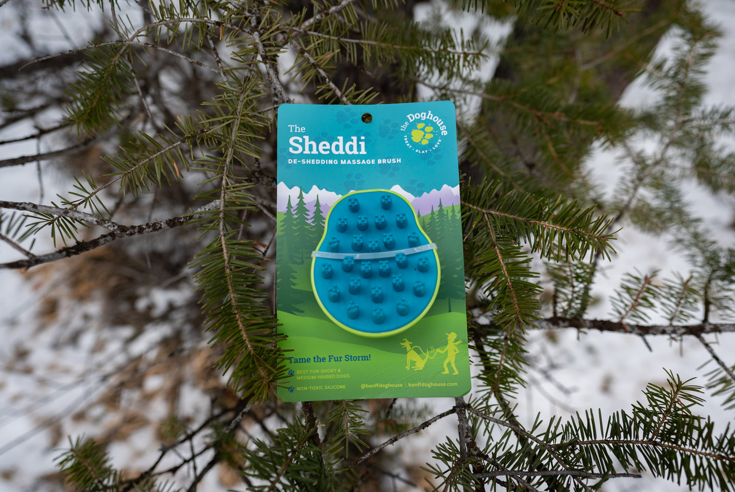 The Sheddi