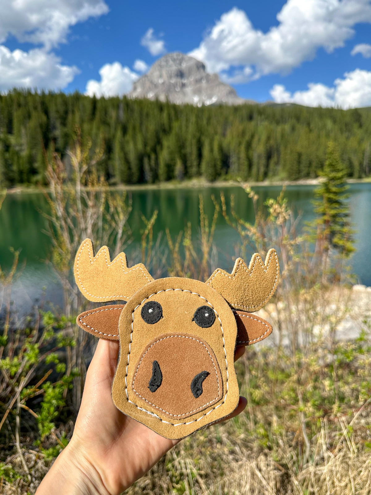The Doghouse Leather & Wool Moose