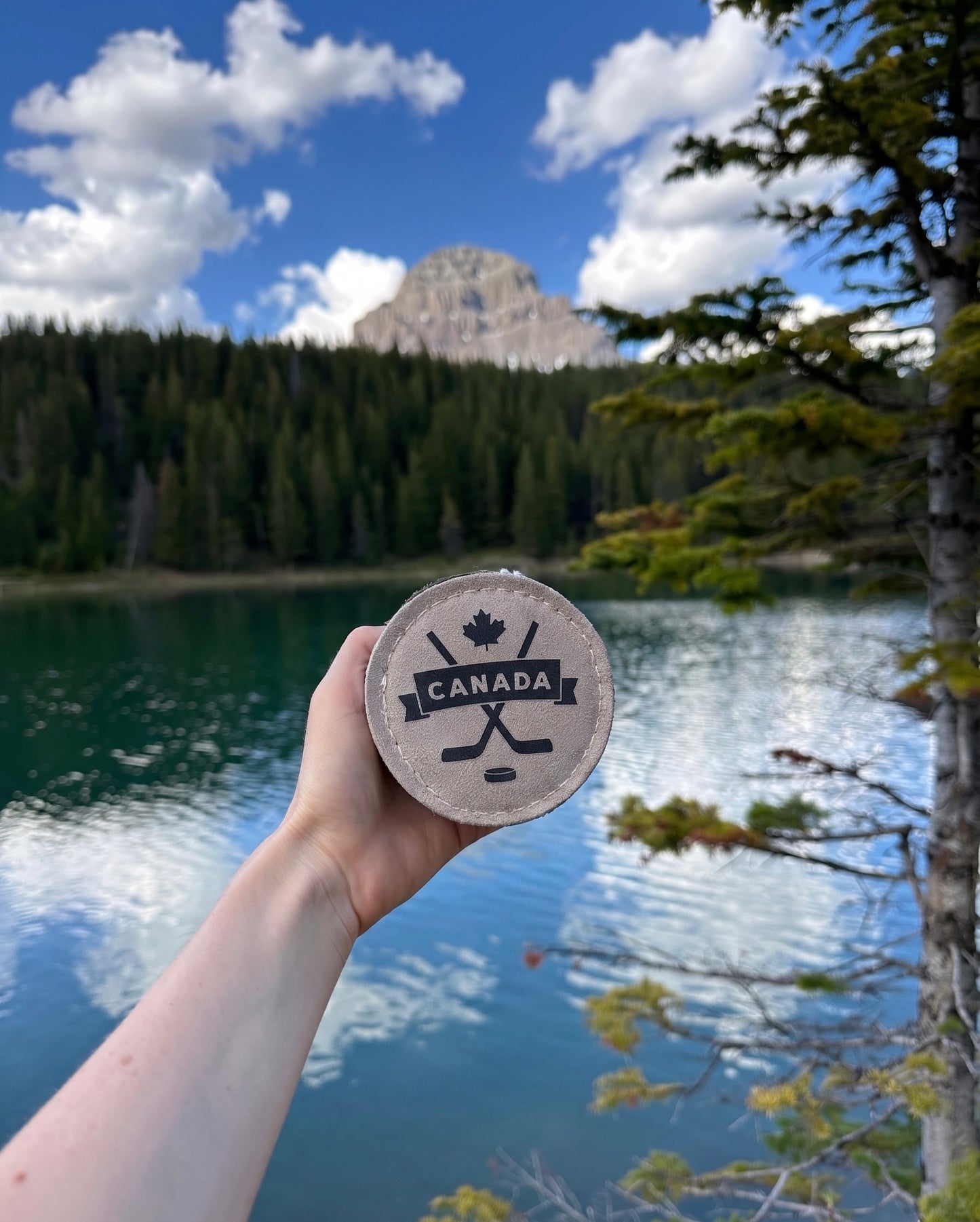 The Doghouse Leather & Wool Puck