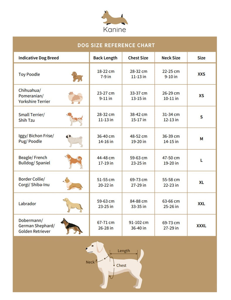 Florence Appleskin Dog Collar 20% Off