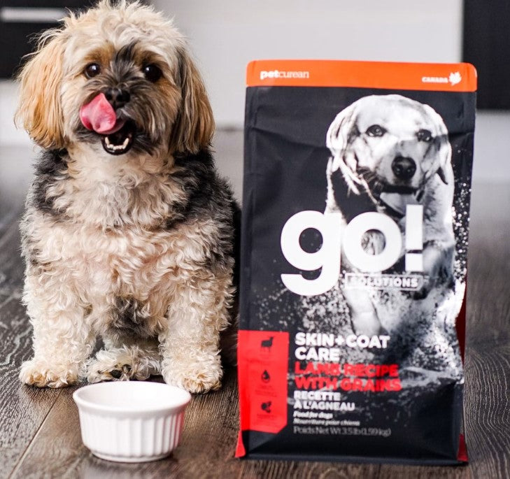 Go! Skin and Coat (Lamb Recipe with Grains)