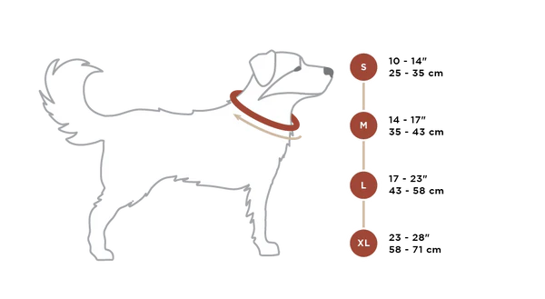 Cascade Alpine Dog Collar