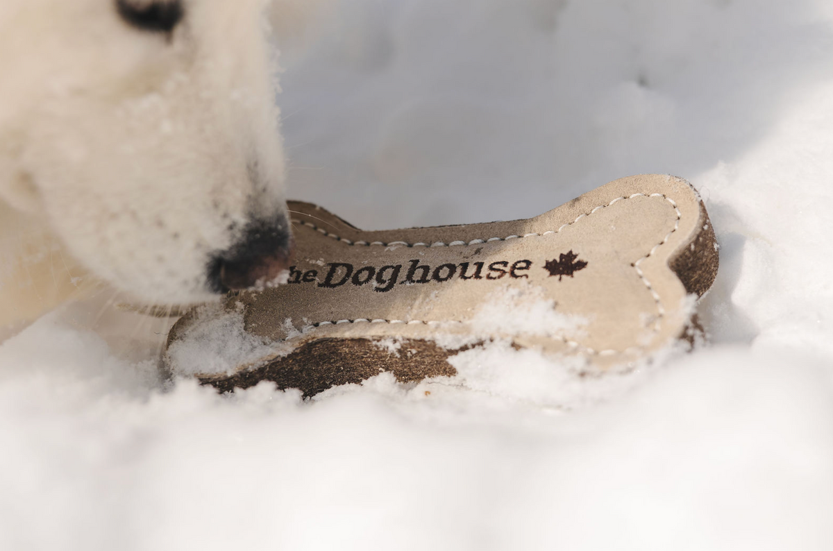 The Doghouse Leather & Wool Bone