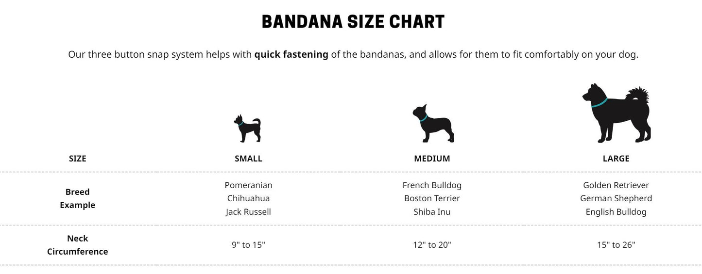 BDH True North Bandana 50% Off