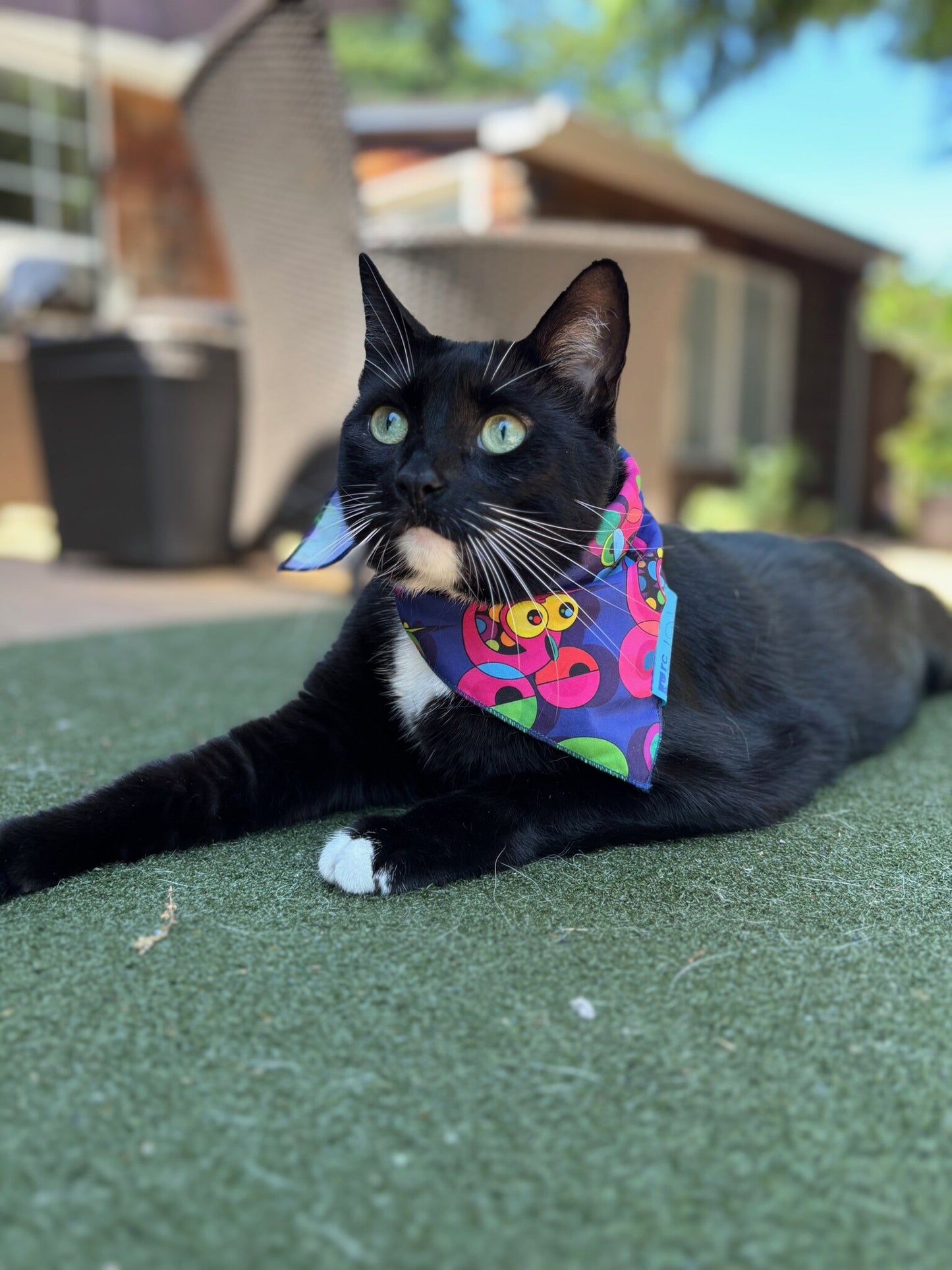 RC Artist Series Bandana