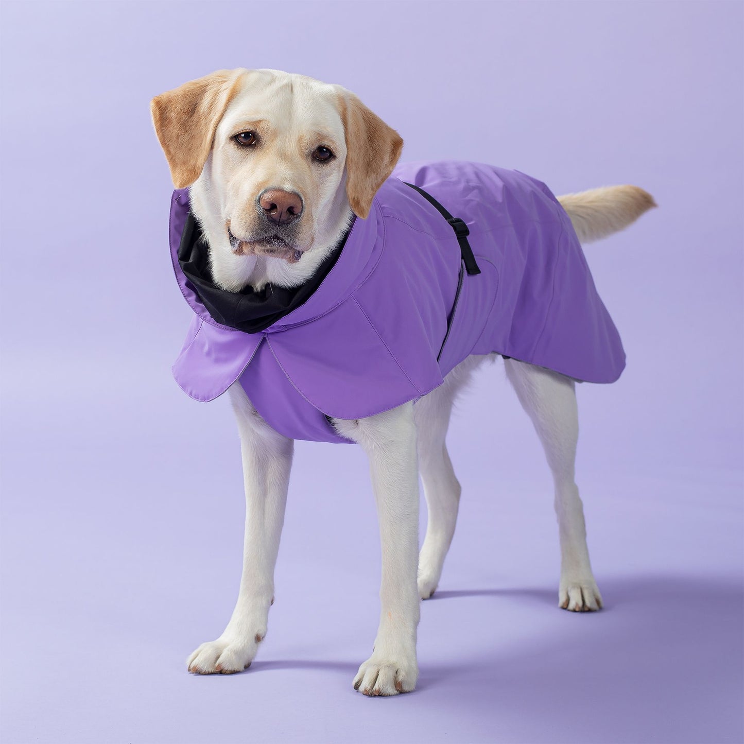 Paikka Visibility Winter Jacket (Lilac)