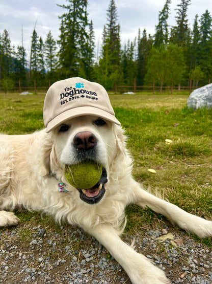 The Doghouse Trucker Cap