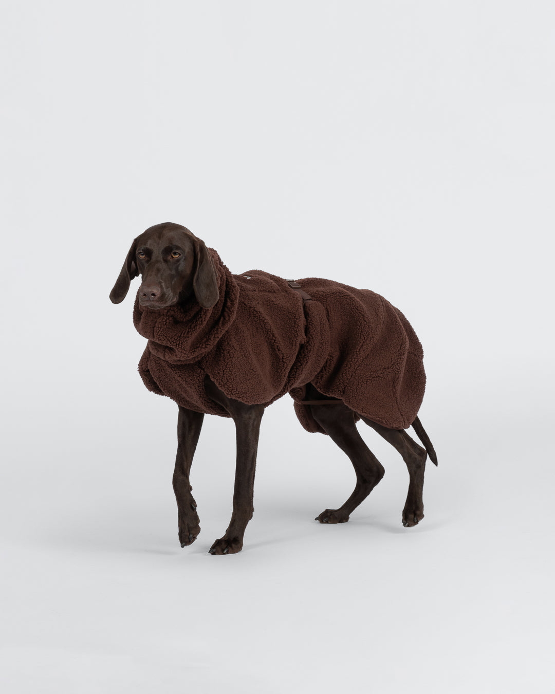 Paikka Sherpa Shirt Choco