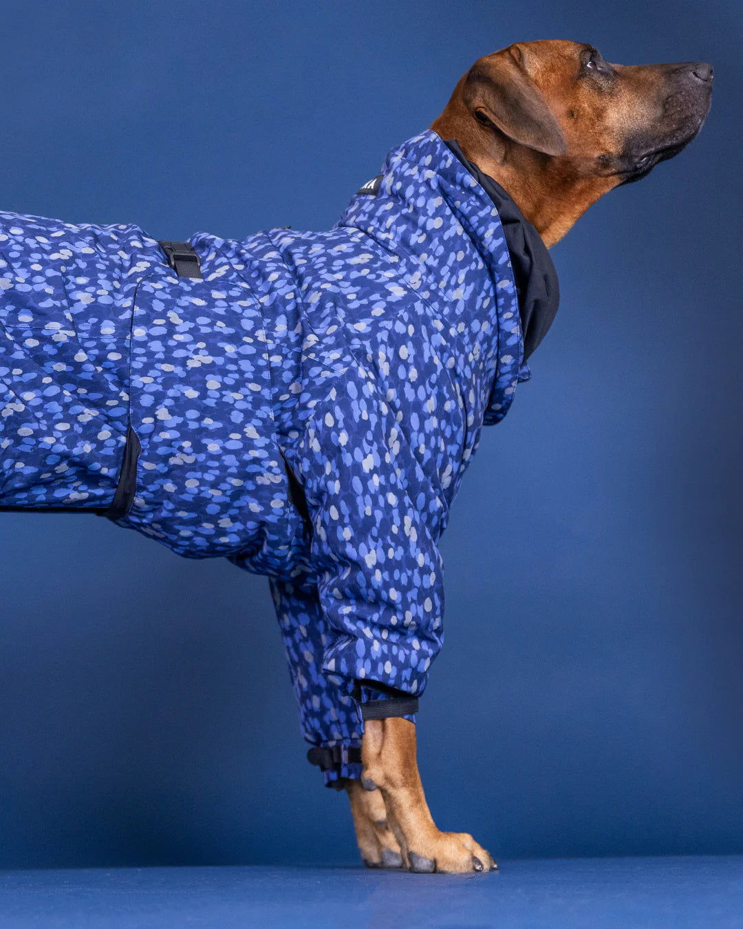 Paikka Winter Suit Blue