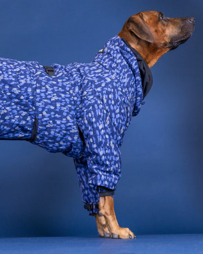 Paikka Winter Suit Blue