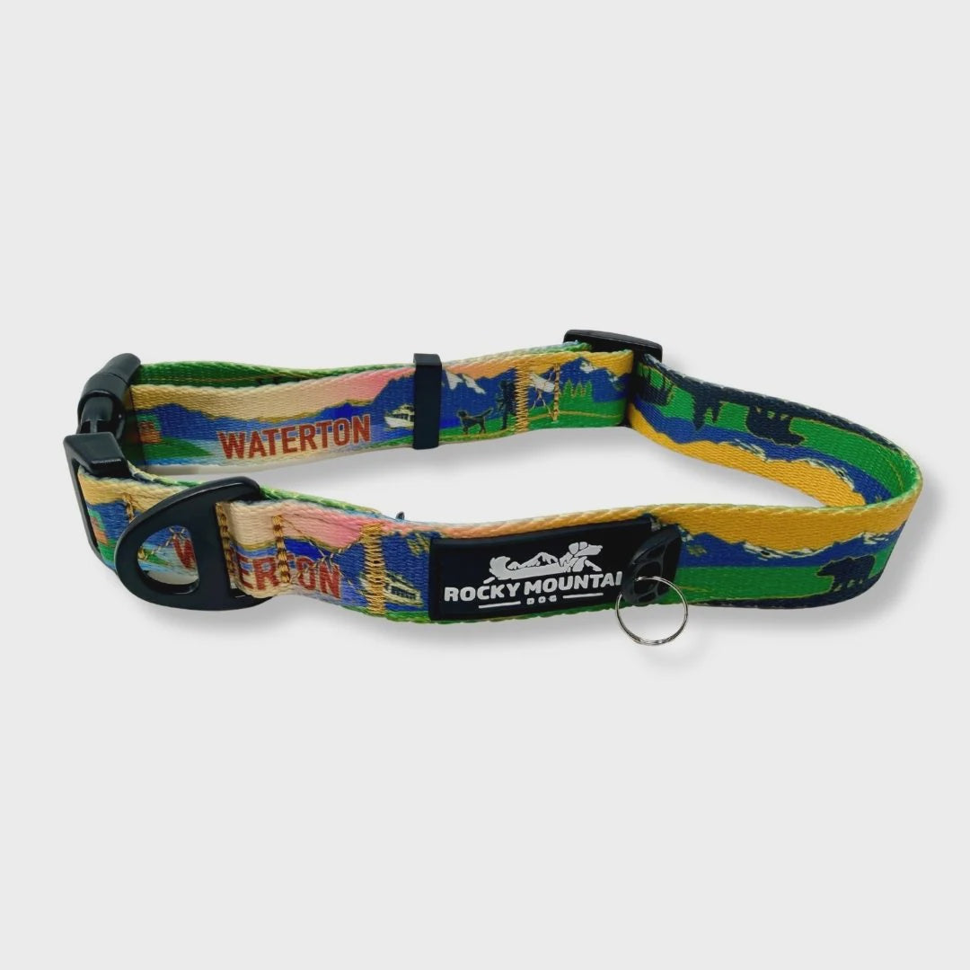 Waterton Alpine Dog Collar