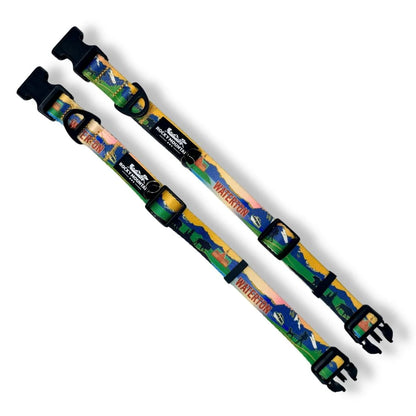 Waterton Alpine Dog Collar