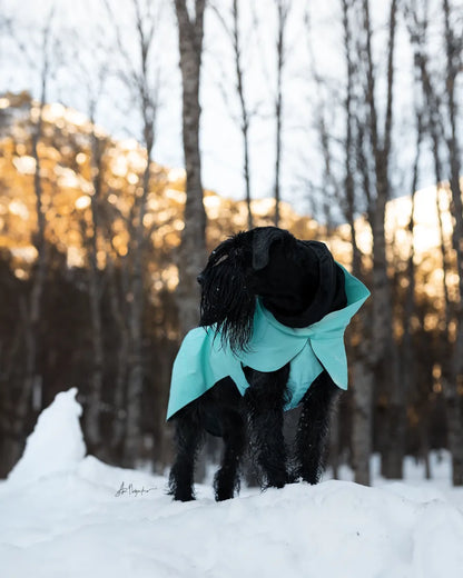 Paikka Visibility Raincoat Lite Cabbage