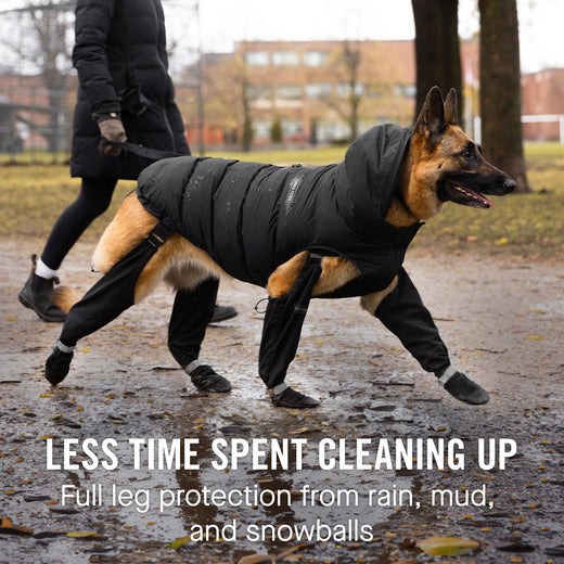 Canada Pooch Suspender Boots Red