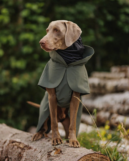 Paikka Visibility Raincoat Thyme