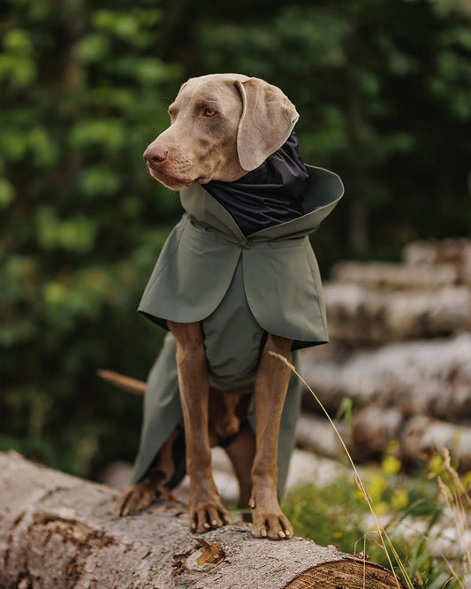 Paikka Visibility Raincoat Thyme