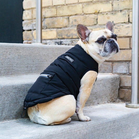 Canada Pooch Ultimate Stretch Vest Black