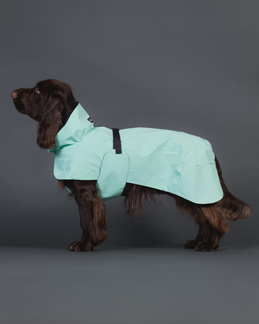 Paikka Visibility Raincoat Lite Cabbage