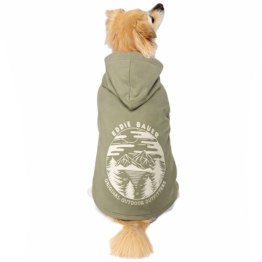 Eddie Bauer Solid Fern Graphic Hoodie