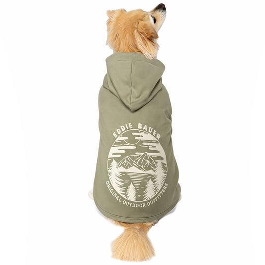 Eddie Bauer Solid Fern Graphic Hoodie