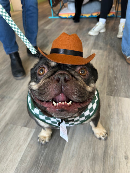 Cocopup Rodeo Dog hat