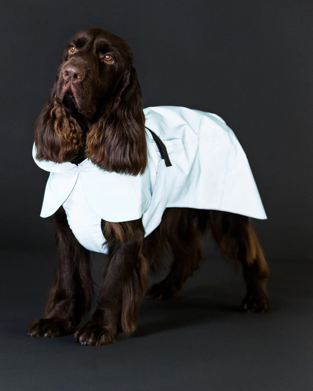 Paikka Visibility Raincoat Lite Cabbage