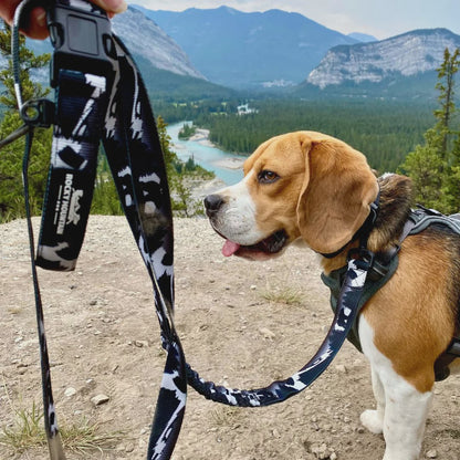 Rocky Mountain 8 Foot Leashes