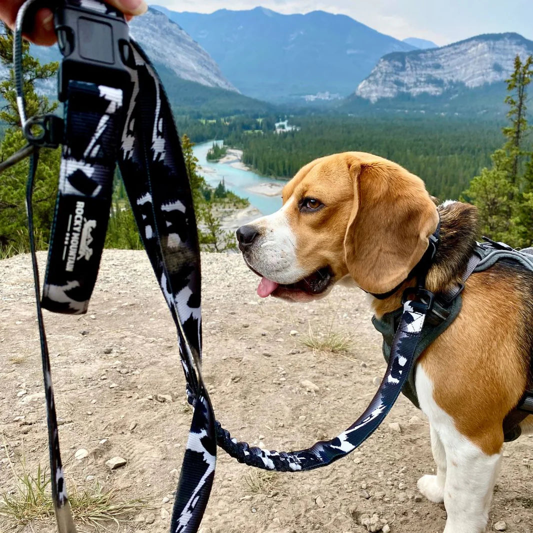 Rocky Mountain 8 Foot Leashes