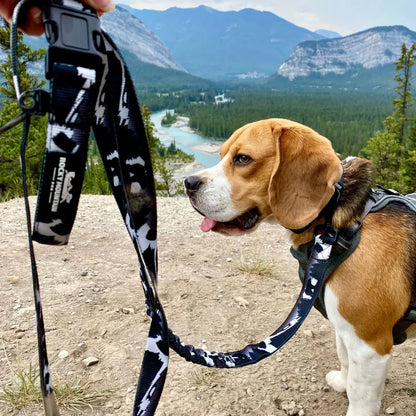 Rocky Mountain 8 Foot Leashes