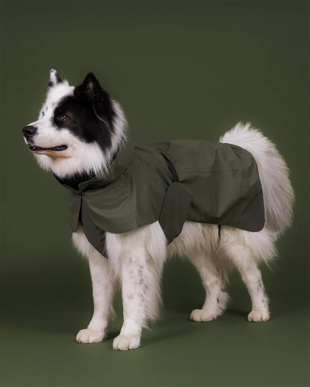 Paikka Visibility Raincoat Thyme