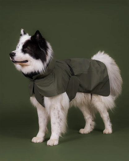 Paikka Visibility Raincoat Thyme