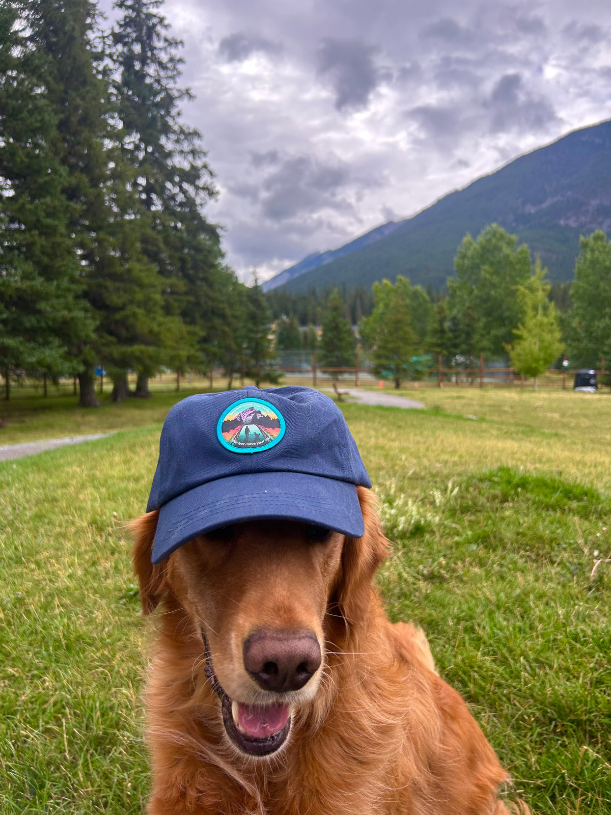 The Doghouse Trucker Cap