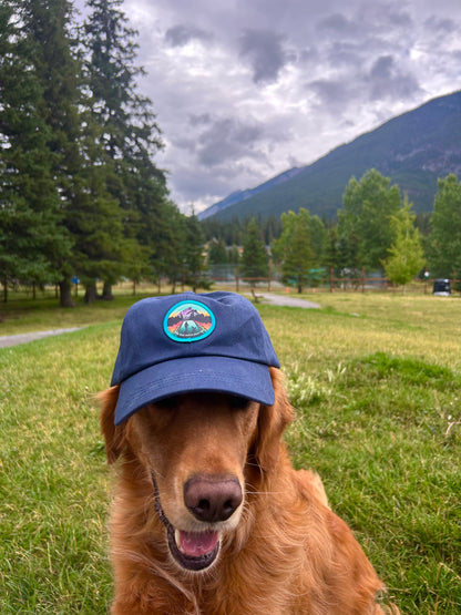 The Doghouse Trucker Cap