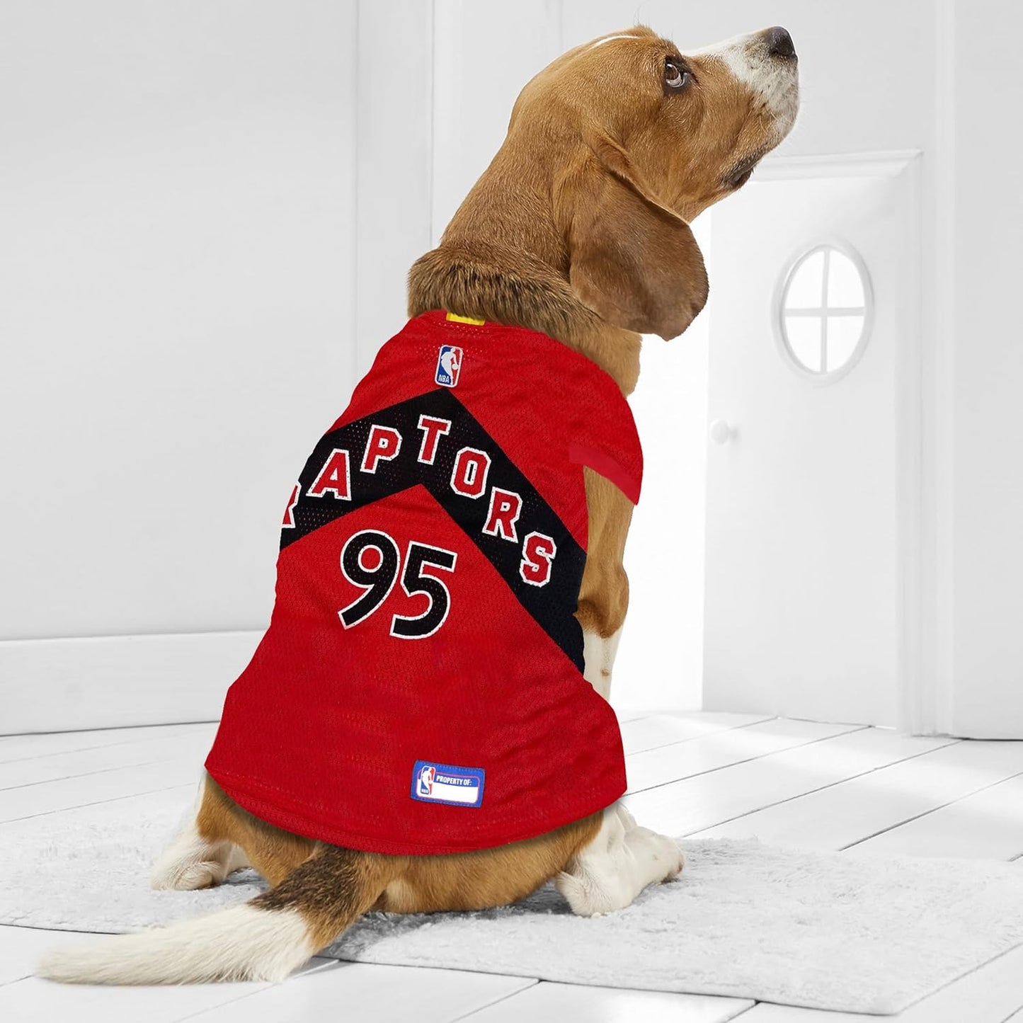 Toronto Raptors Basketball Jersey