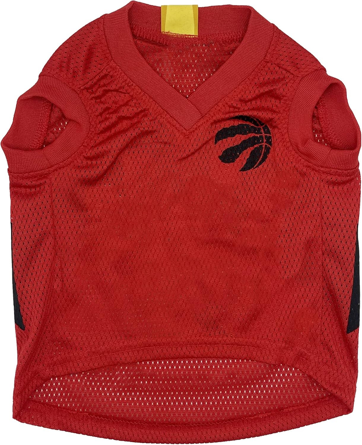 Toronto Raptors Basketball Jersey
