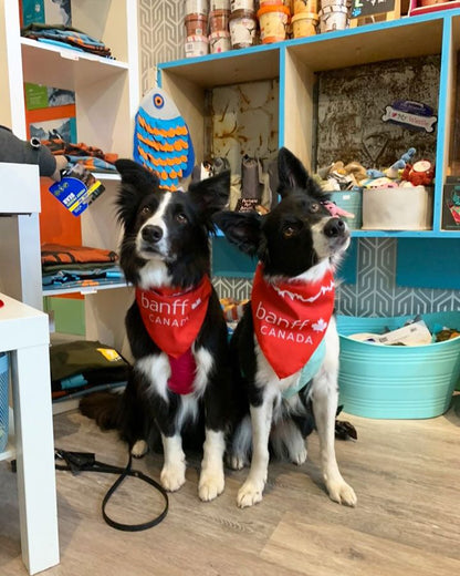 Banff Canada Bandana