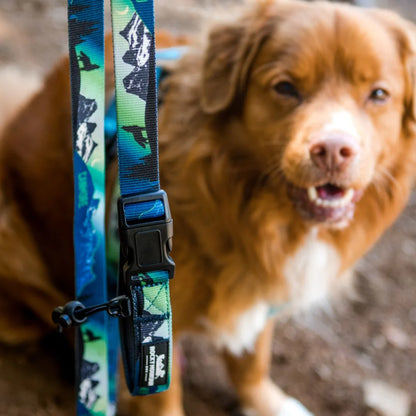 Canmore All Mountain Dog Leash