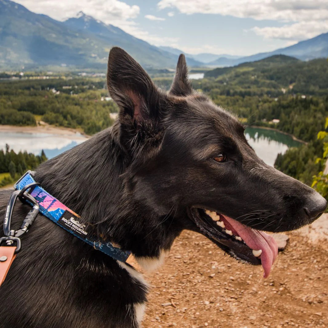 Canmore Alpine Dog Collar
