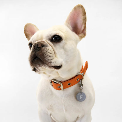 Florence Appleskin Dog Collar 20% Off