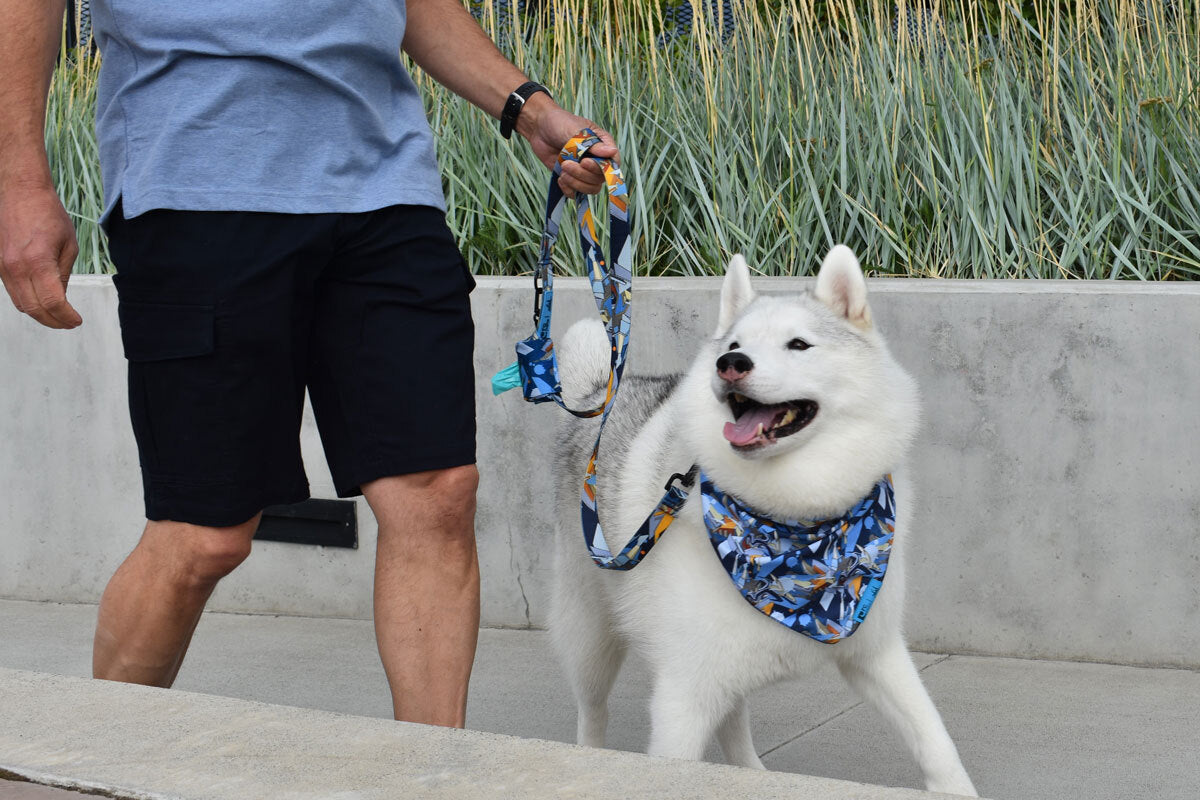 RC Artist Series Bandana