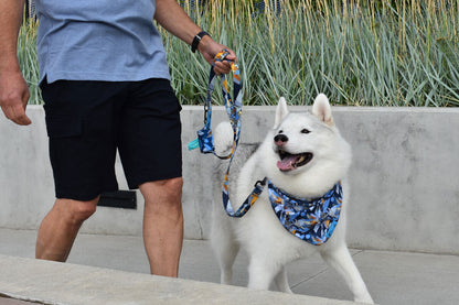 RC Artist Series Bandana