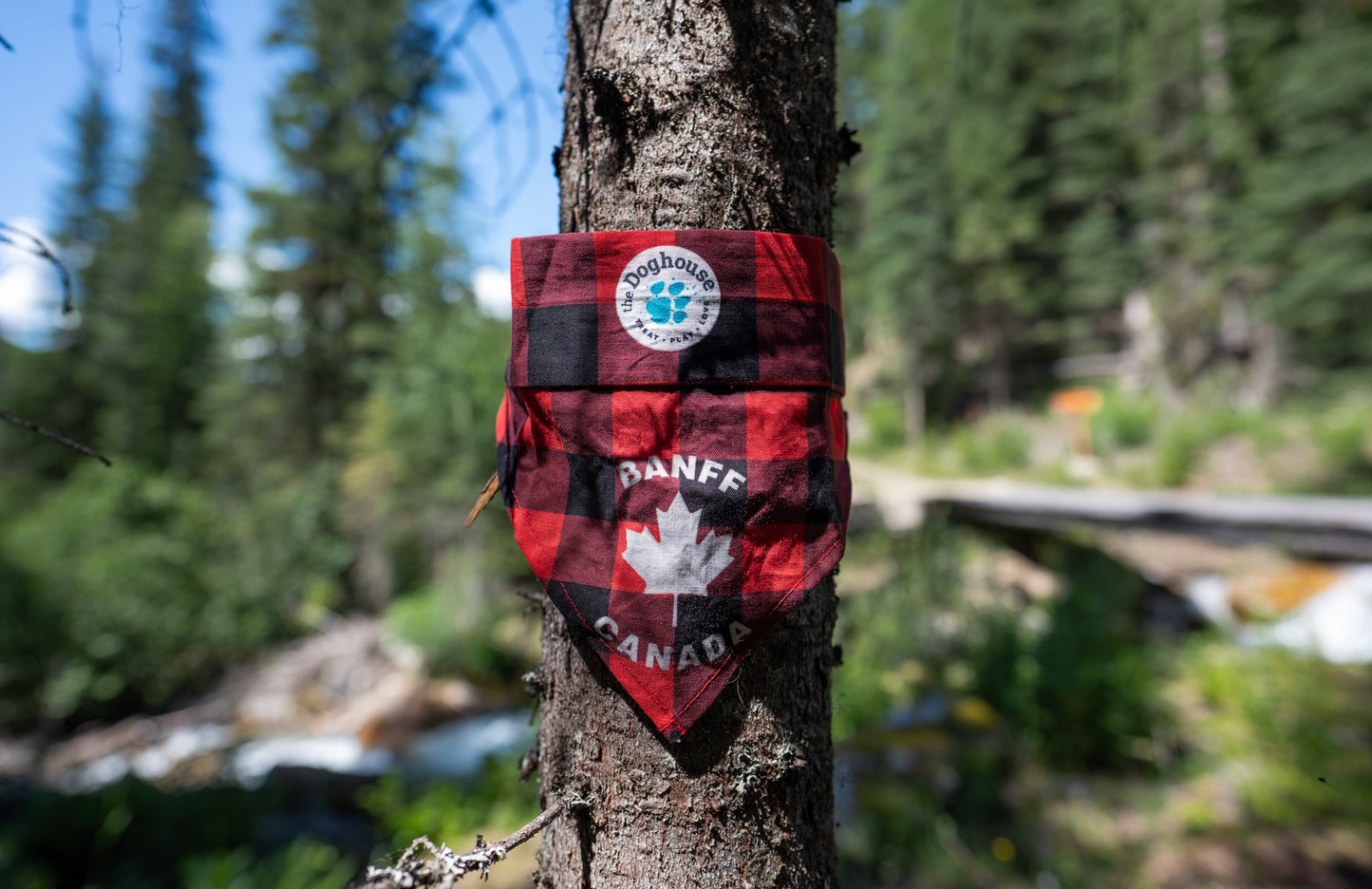 The Doghouse Sunny Trails Cooling Bandana