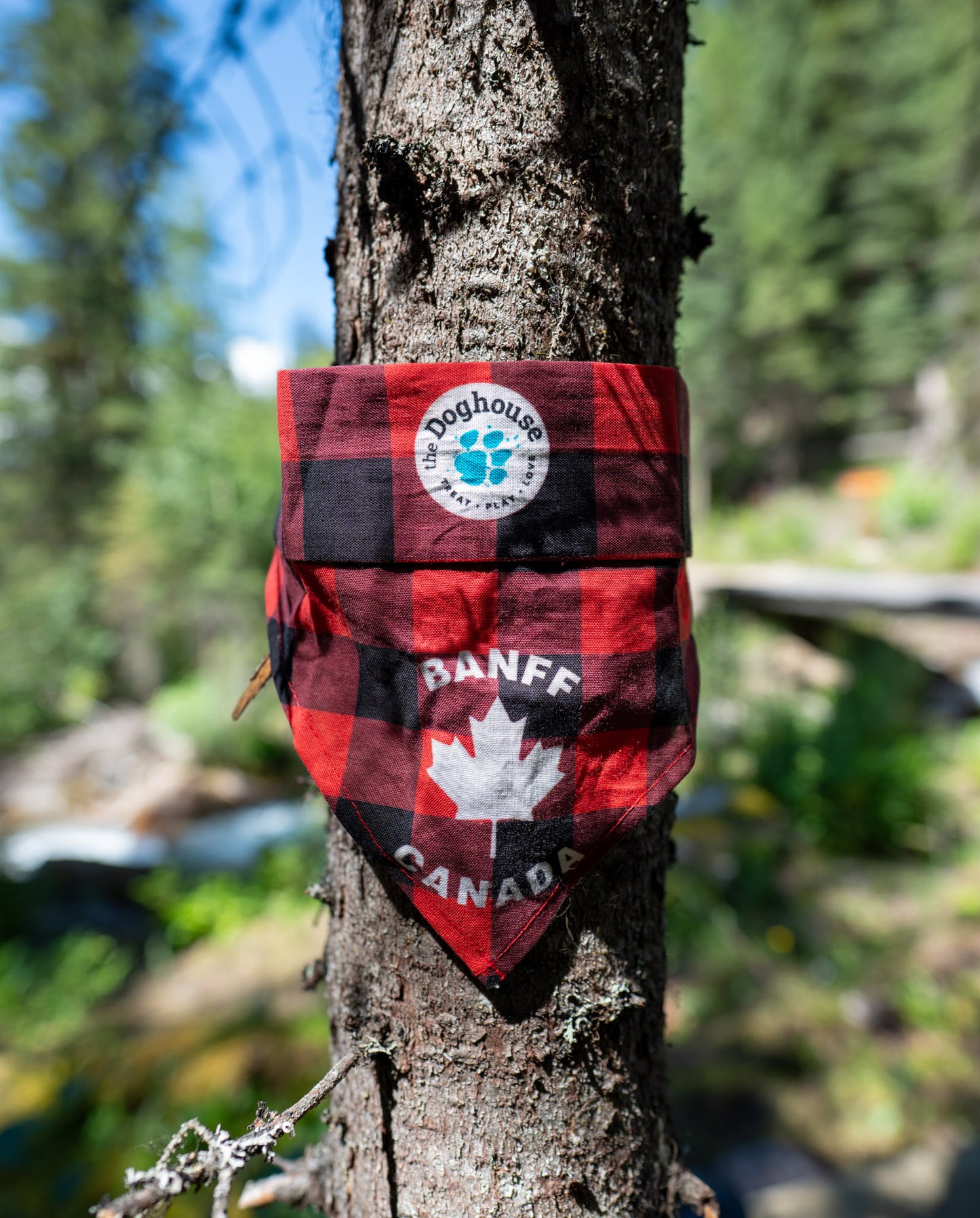 The Doghouse Sunny Trails Cooling Bandana