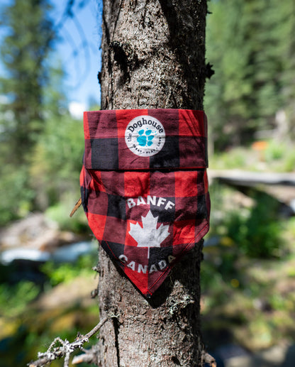The Doghouse Sunny Trails Cooling Bandana