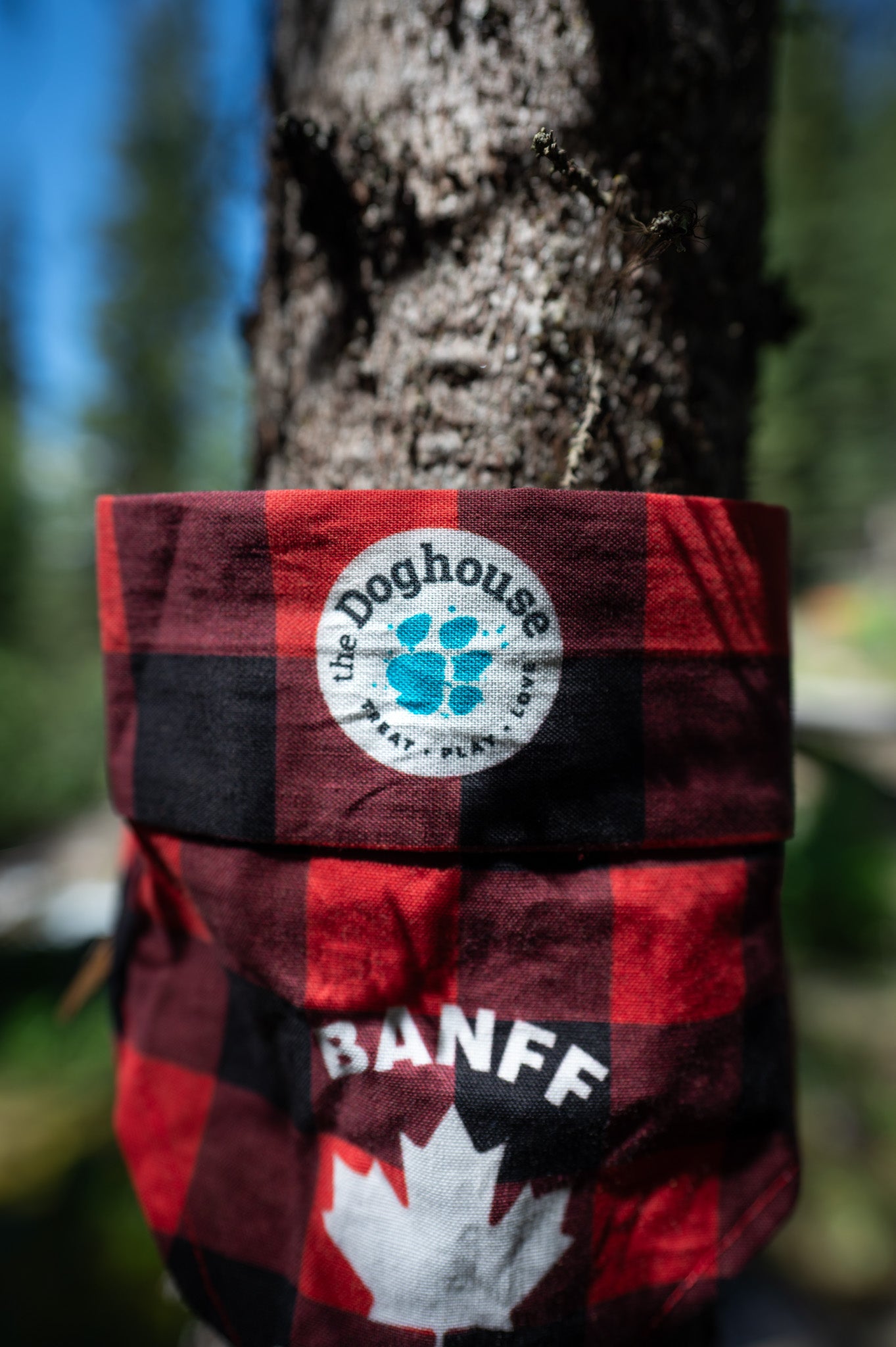 The Doghouse Sunny Trails Cooling Bandana