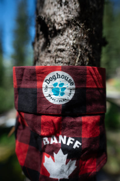 The Doghouse Sunny Trails Cooling Bandana