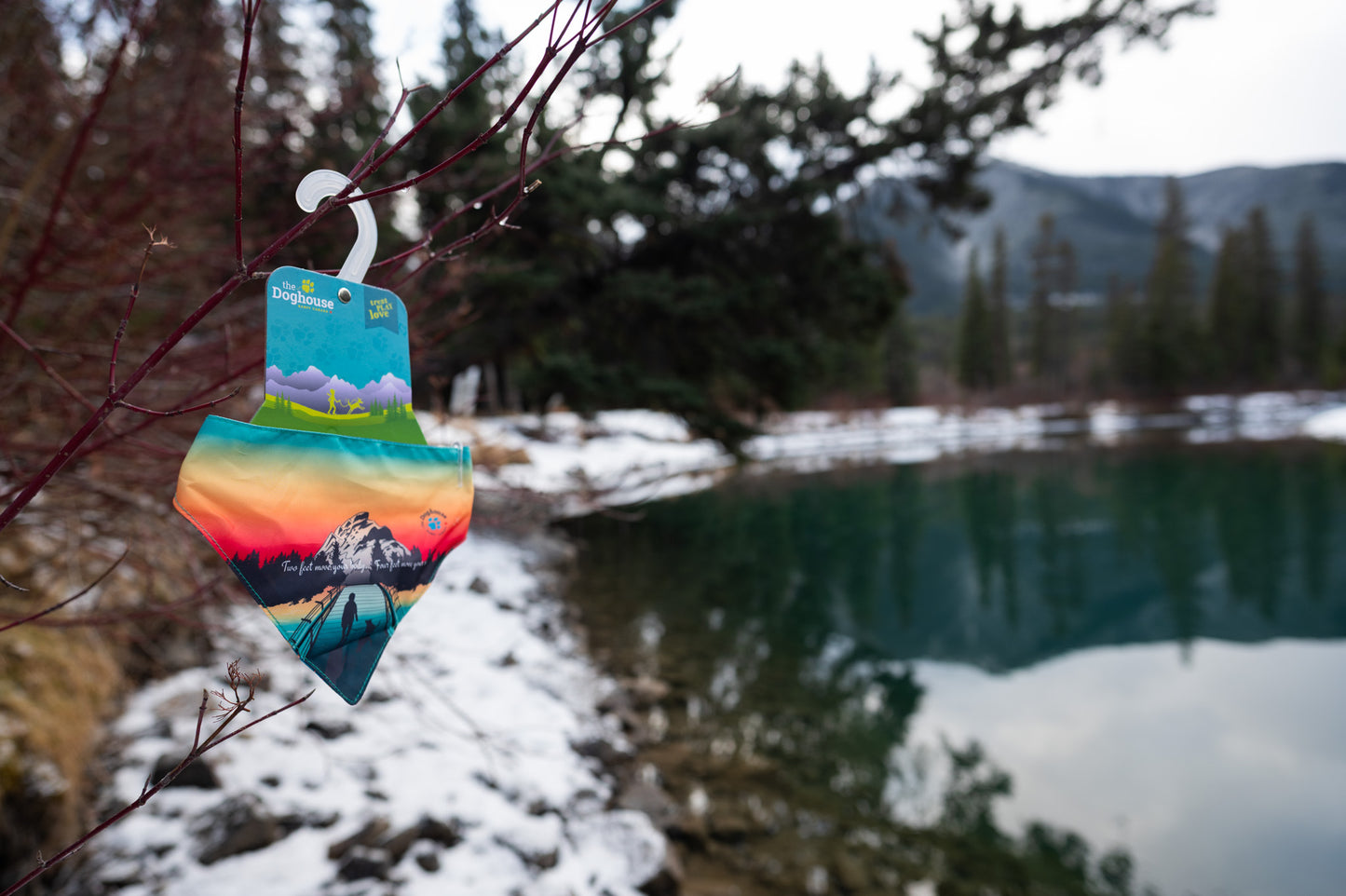 The Doghouse Bridge Bandana