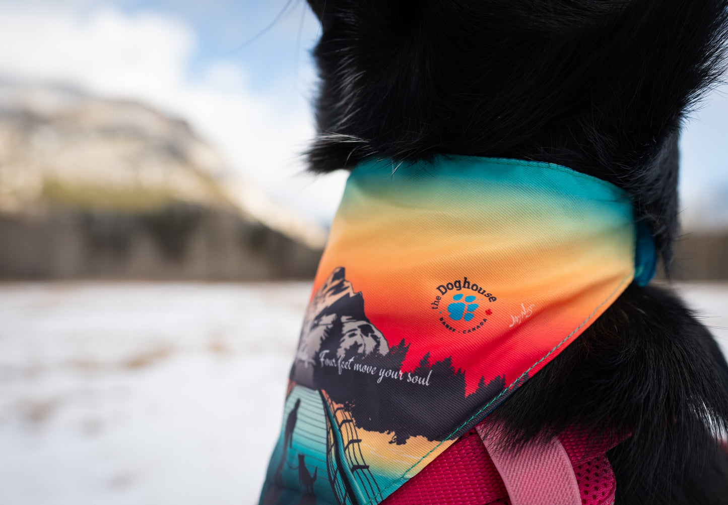 The Doghouse Bridge Bandana