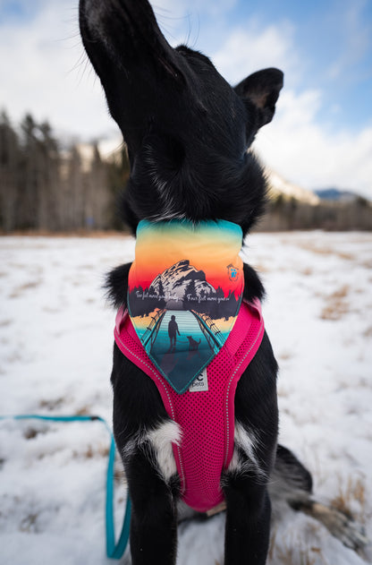 The Doghouse Bridge Bandana