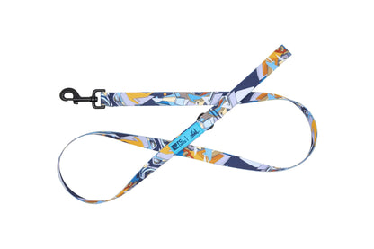 RC Artist Series Leash